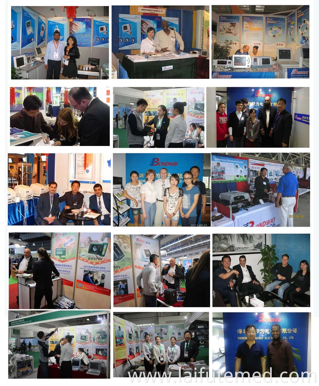 Animal Ultrasound Scanning Machine Bw590V Digital Veterinary Diagnostic Ultrasonic Imaging System, Ideal for Veterinary Service Center, Research Institute